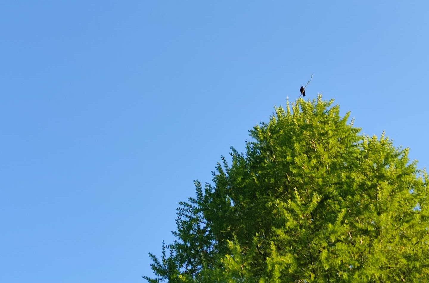 Wartości – kierunki w codzienności.